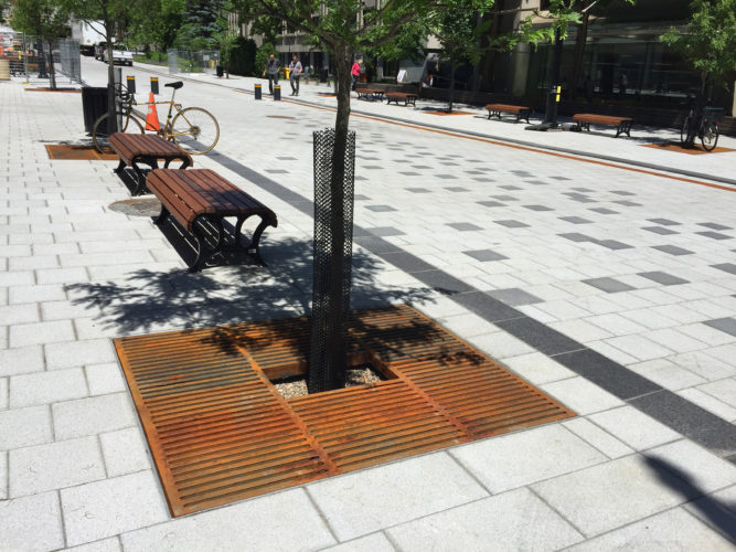 grilles d'arbres carré