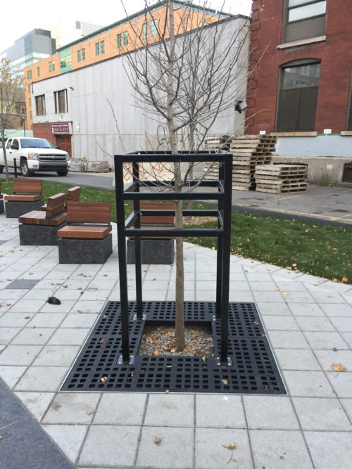 grilles d'arbres carré